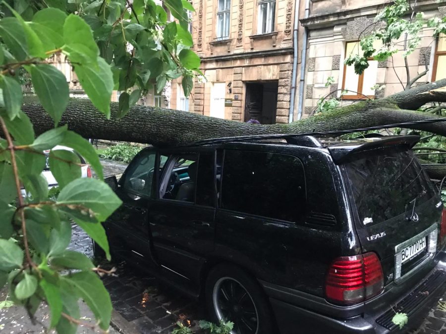 последствия непогоды во Львове